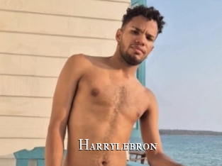 Harrylebron
