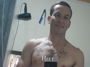 Hect