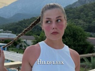 Hildfleek