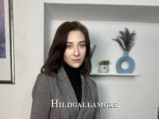 Hildgallamore