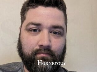 Horneyguy