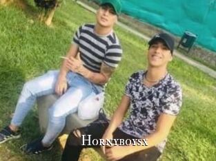 hornyboysx cams