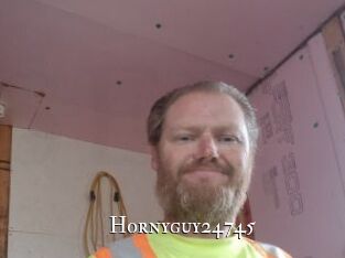 Hornyguy24745