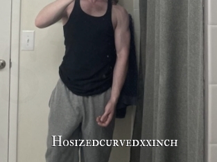 hosizedcurvedxxinch cams