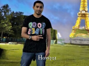 Hoss301