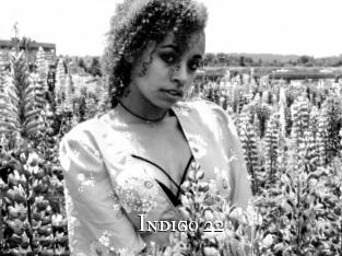 Indigo_22
