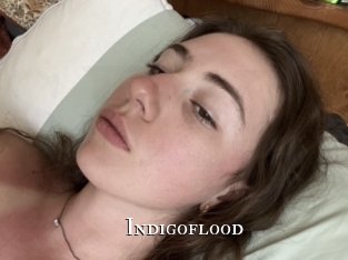 indigoflood cams