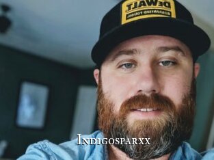 indigosparxx cams
