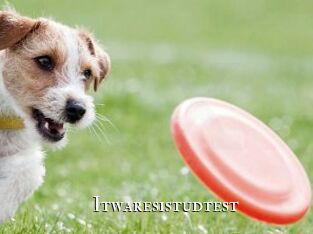 Itwaresistudtest