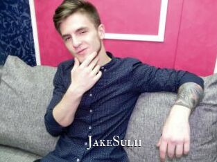 JakeSulii