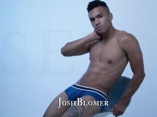 JoshBlomer cams
