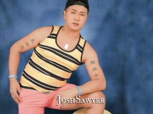 JoshSawyer cams