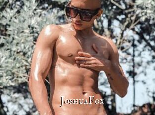 JoshuaFox