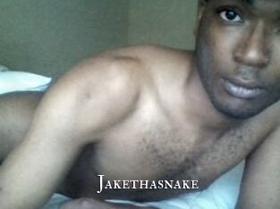 Jake_tha_snake