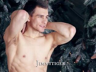 Jimmytiger