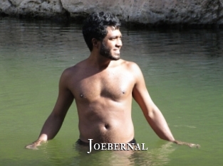Joebernal