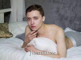 joesterling cams