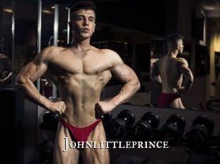 Johnlittleprince