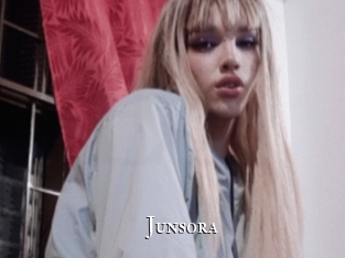 junsora cams