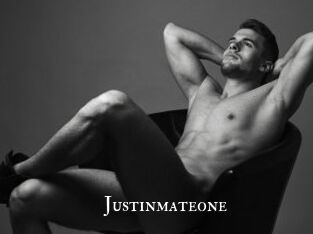 Justinmateone