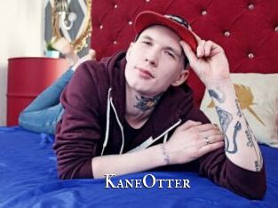 KaneOtter cams