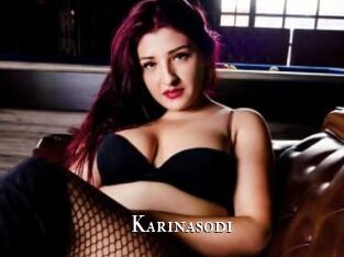 Karinasodi