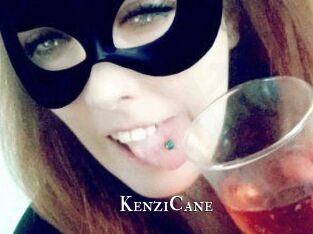 KenziCane cams