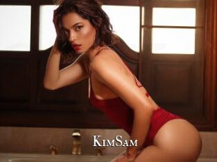 KimSam cams