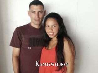 kamiywilson cams