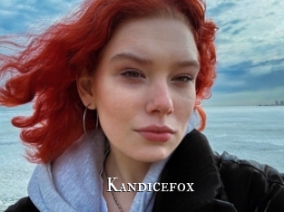 Kandicefox