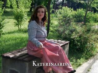 Katerinaarisse