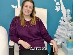 kattiice cams