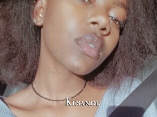 Kesandu
