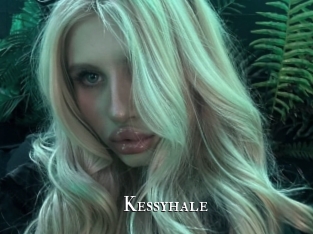 kessyhale cams
