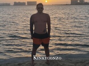 Kinkygonzo