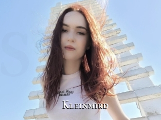 Kleinmird
