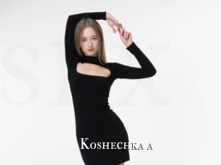 Koshechka_a