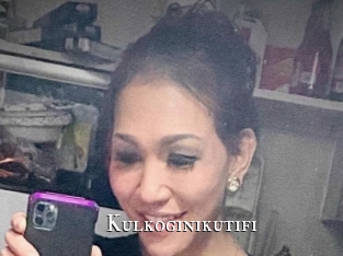 Kulkoginikutifi