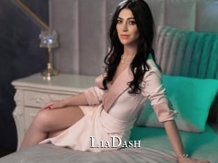 LiaDash cams
