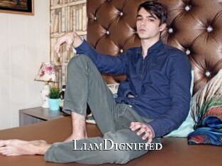 LiamDignified