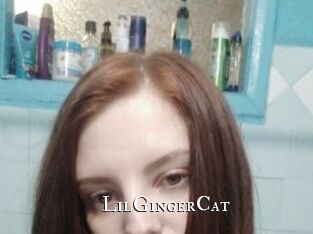 LilGingerCat