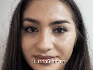 LillyVelvet
