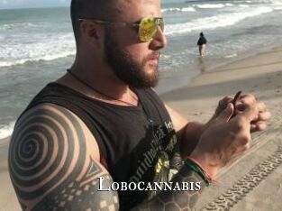 Lobocannabis
