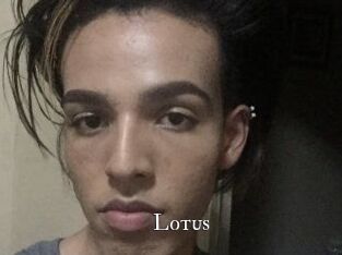 Lotus