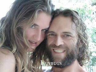 Luvbugs