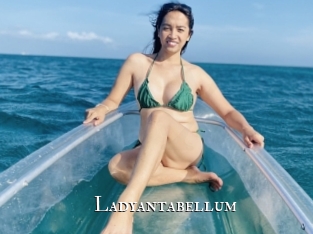 ladyantabellum cams