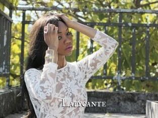 Lapycante