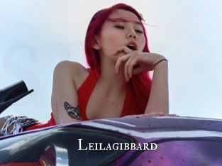 leilagibbard cams