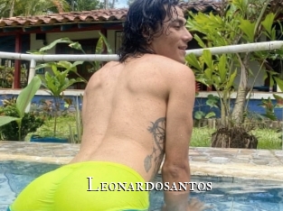 Leonardosantos