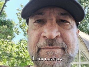 Leoncarpita